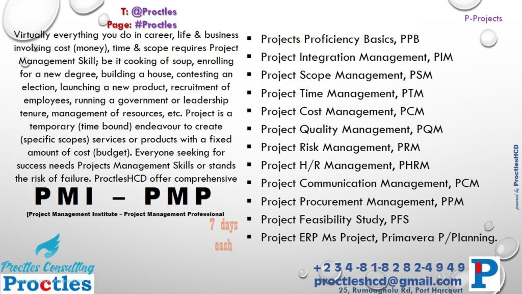 proctles consulting projects