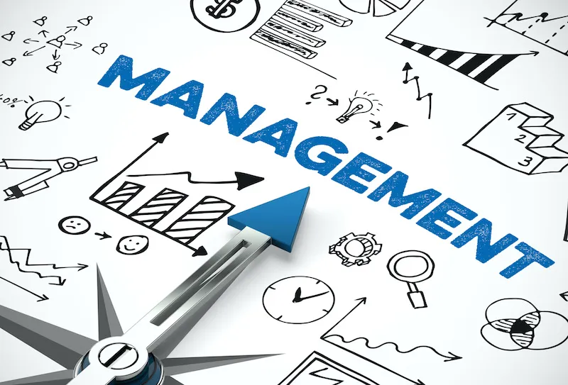management development